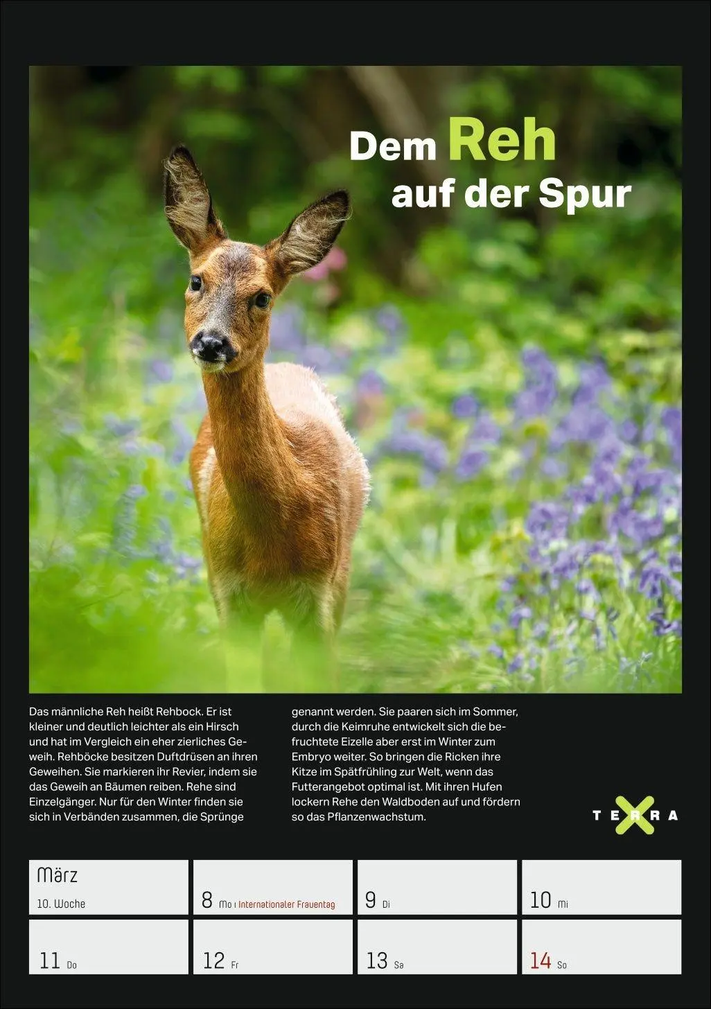 Bild: 9783840038129 | Terra X - Das Wunder Erde Wochenplaner 2027 | Kalender | 54 S. | 2027