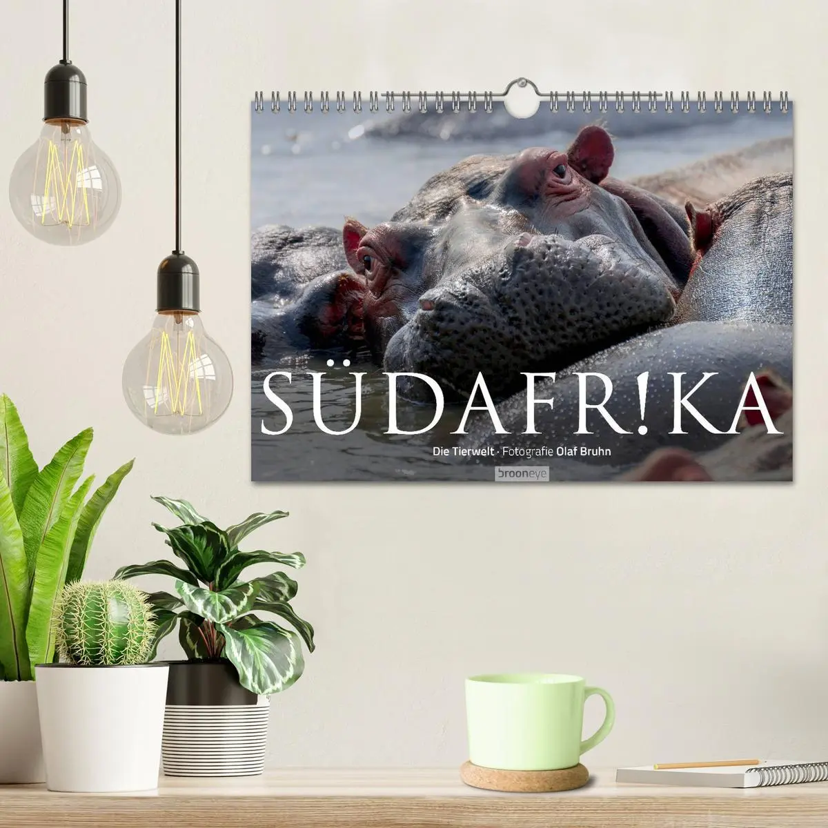 Bild: 9783516088229 | Südafrika - Die Tierwelt (Wandkalender 2026 DIN A4 quer), CALVENDO...