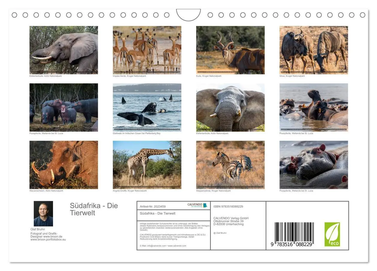 Bild: 9783516088229 | Südafrika - Die Tierwelt (Wandkalender 2026 DIN A4 quer), CALVENDO...