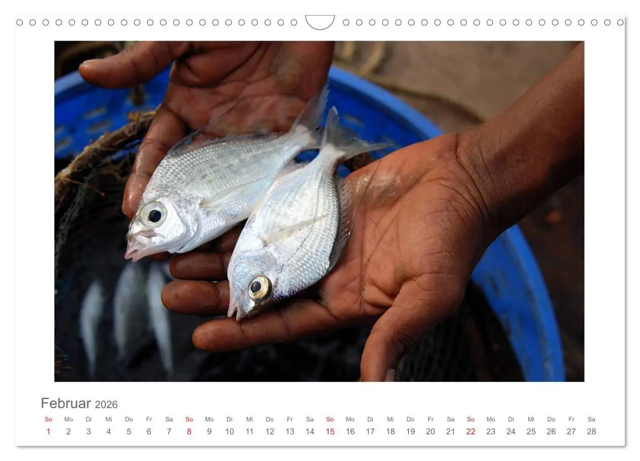 Bild: 9783516228229 | Farbenfrohes Kerala - Eindrücke aus God´s Own Country (Wandkalender...