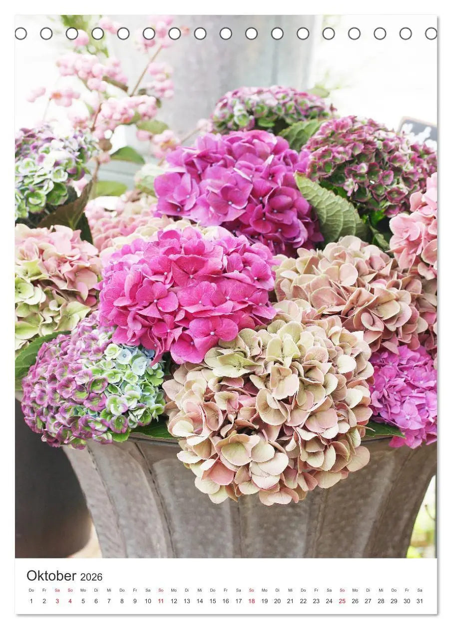Bild: 9783516398229 | Verliebt in Blumen (Tischkalender 2026 DIN A5 hoch), CALVENDO...
