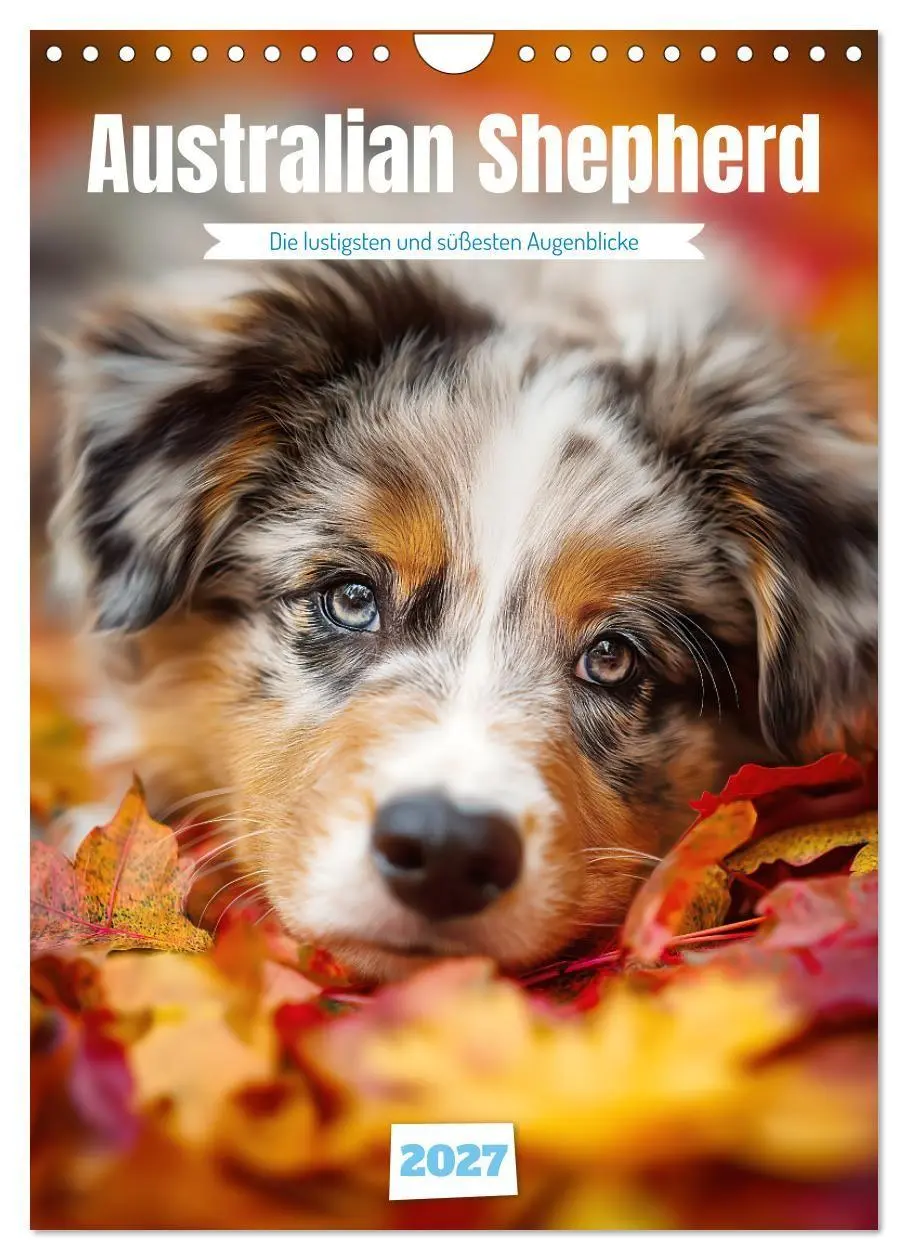 Cover: 9783569628229 | Australian Shepherd (Wandkalender 2027 DIN A4 hoch), CALVENDO...