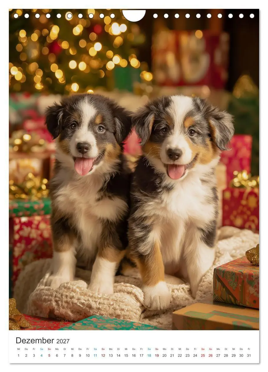 Bild: 9783569628229 | Australian Shepherd (Wandkalender 2027 DIN A4 hoch), CALVENDO...