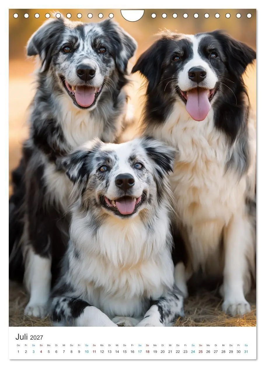Bild: 9783569628229 | Australian Shepherd (Wandkalender 2027 DIN A4 hoch), CALVENDO...