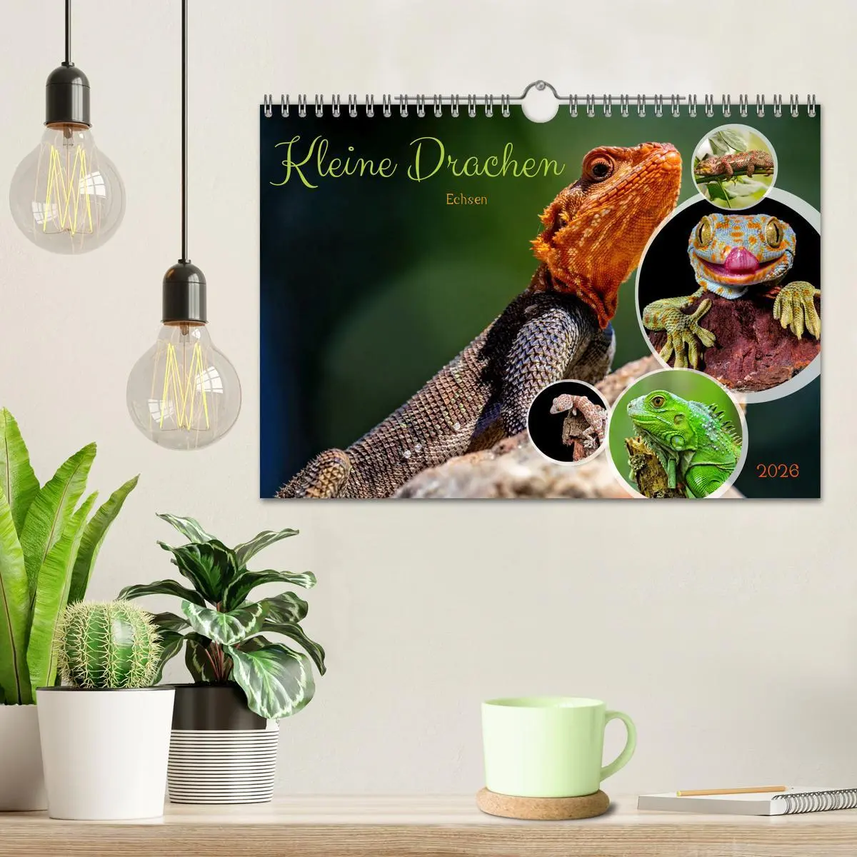 Bild: 9783457368329 | Kleine Drachen - Echsen (Wandkalender 2026 DIN A4 quer), CALVENDO...