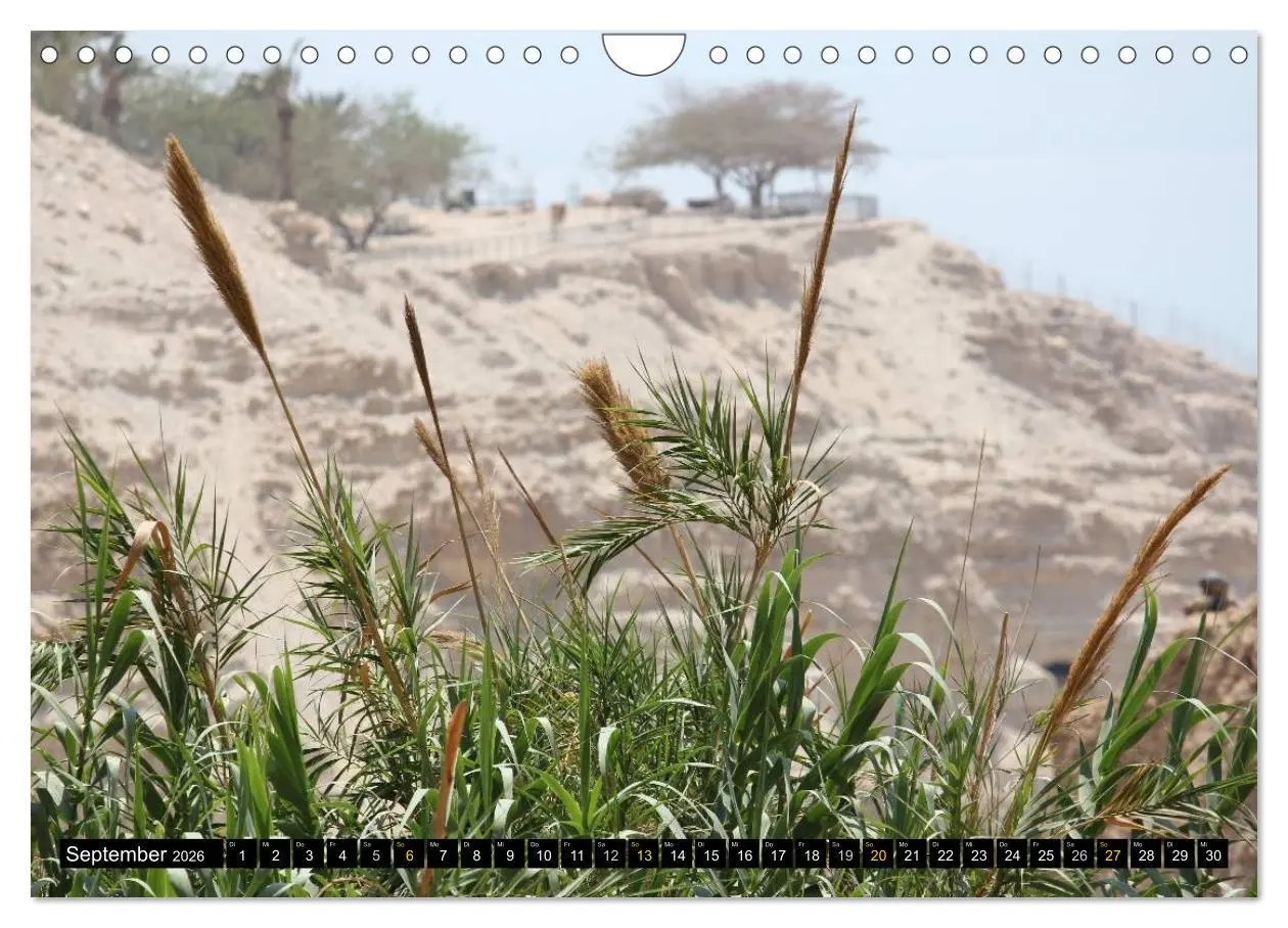 Bild: 9783457988329 | ISRAEL - Mehr als nur ein Land 2026 (Wandkalender 2026 DIN A4...