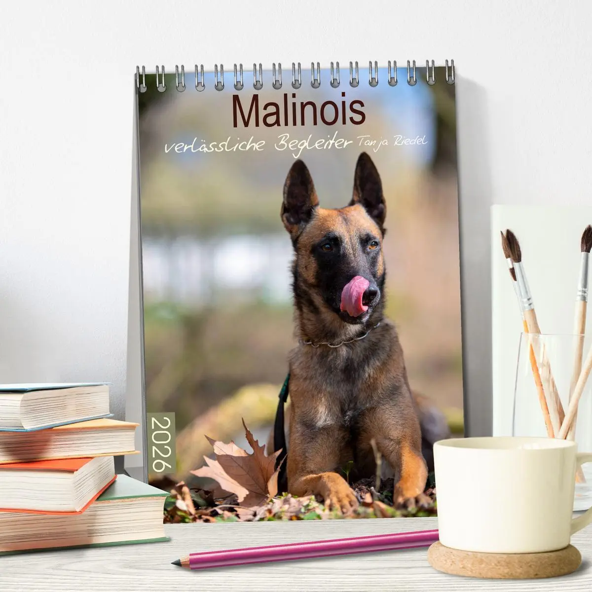 Bild: 9783516378429 | Malinois verlässliche Begleiter (Tischkalender 2026 DIN A5 hoch),...