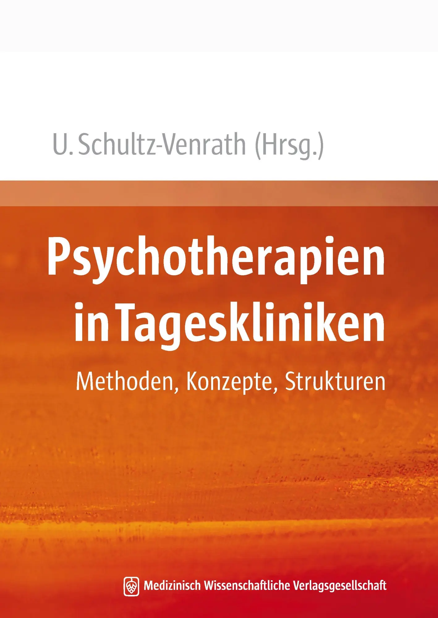 Cover: 9783941468429 | Psychotherapie in Tageskliniken | Methoden, Konzepte, Strukturen