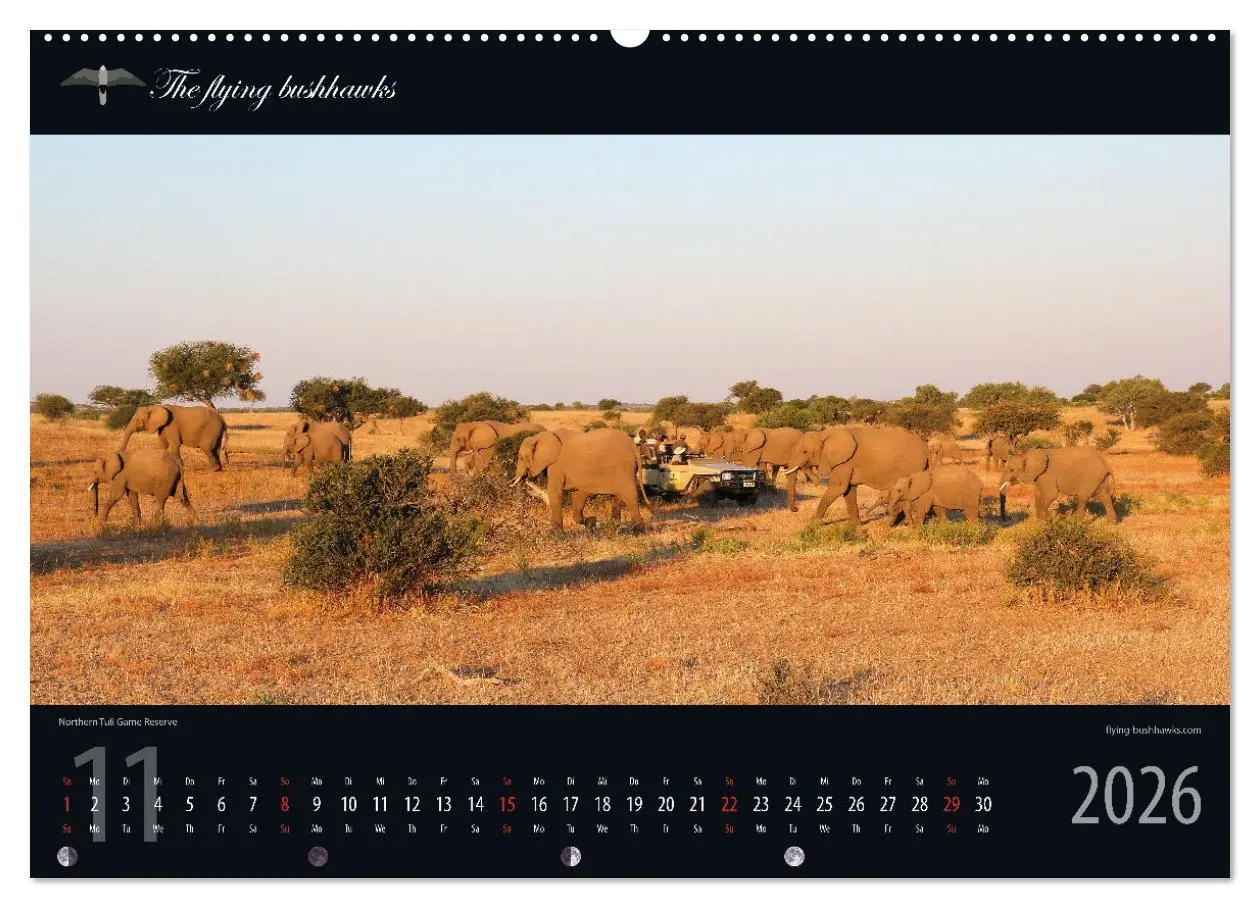 Bild: 9783457278529 | Botswana Blickwinkel 2026 (hochwertiger Premium Wandkalender 2026...