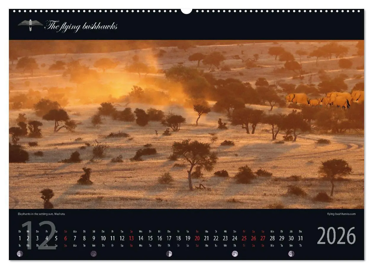 Bild: 9783457278529 | Botswana Blickwinkel 2026 (hochwertiger Premium Wandkalender 2026...