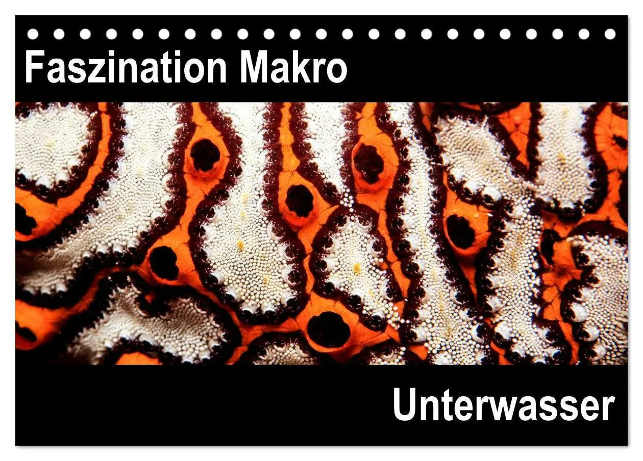 Cover: 9783516128529 | Faszination Makro Unterwasser (Tischkalender 2026 DIN A5 quer),...