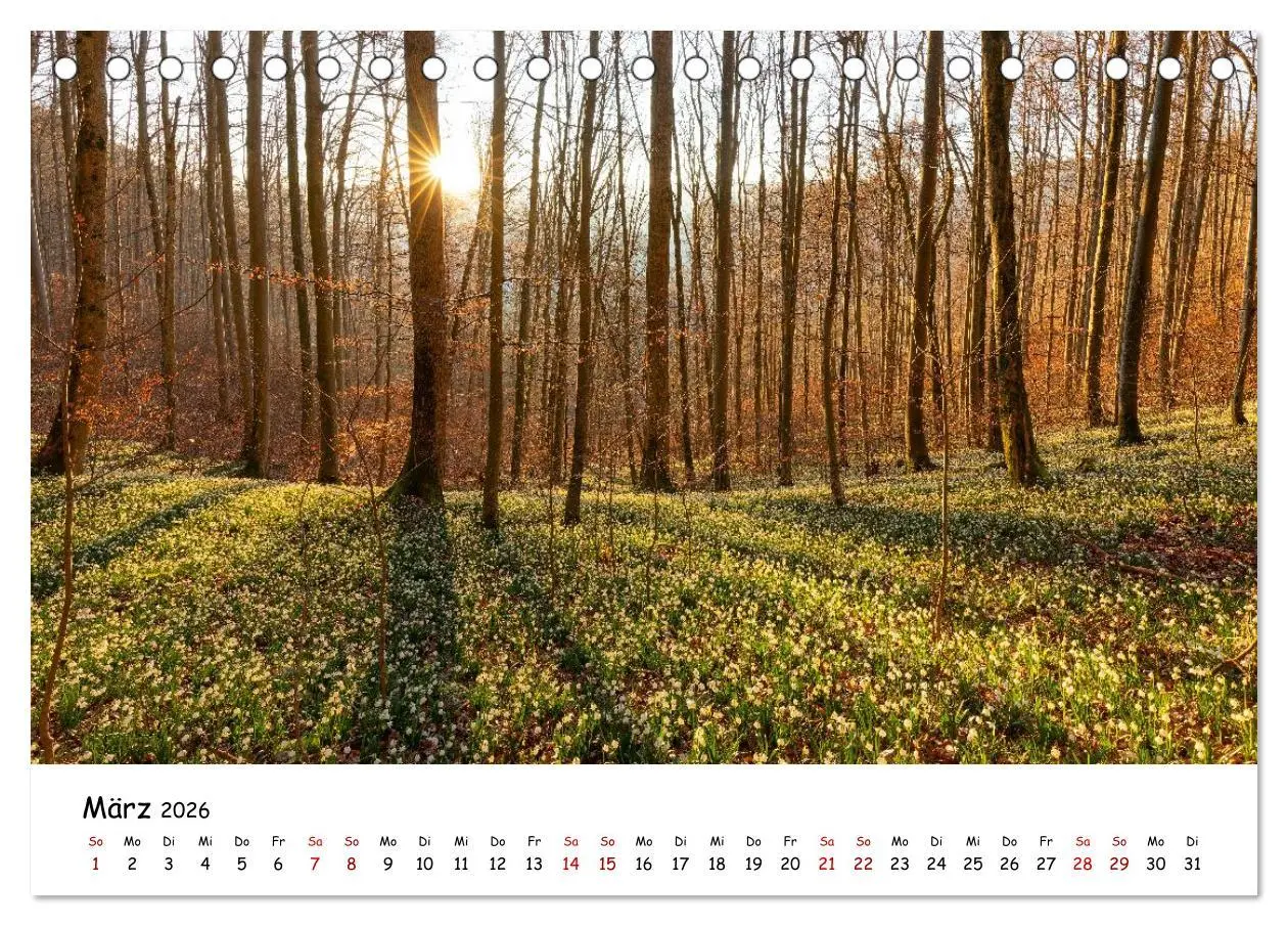 Bild: 9783457408629 | Faszination Schwäbische Alb (Tischkalender 2026 DIN A5 quer),...