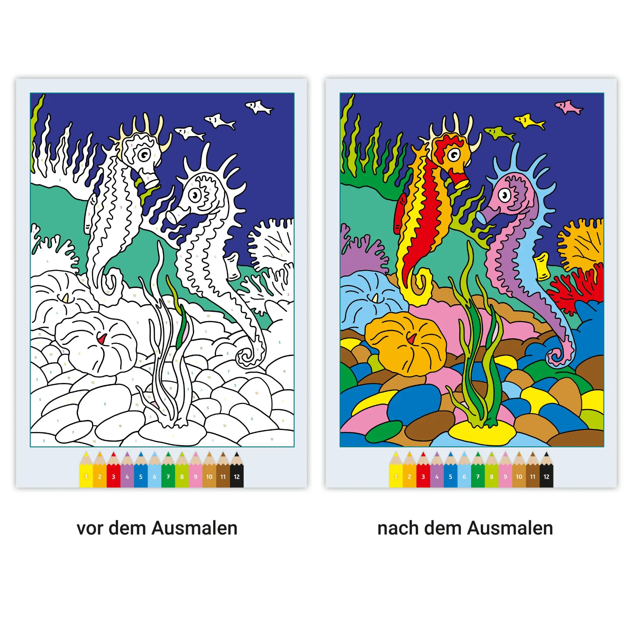Bild: 9783473488629 | CreArt Malen nach Zahlen ab 7: Im Meer | Maja Wagner | Taschenbuch