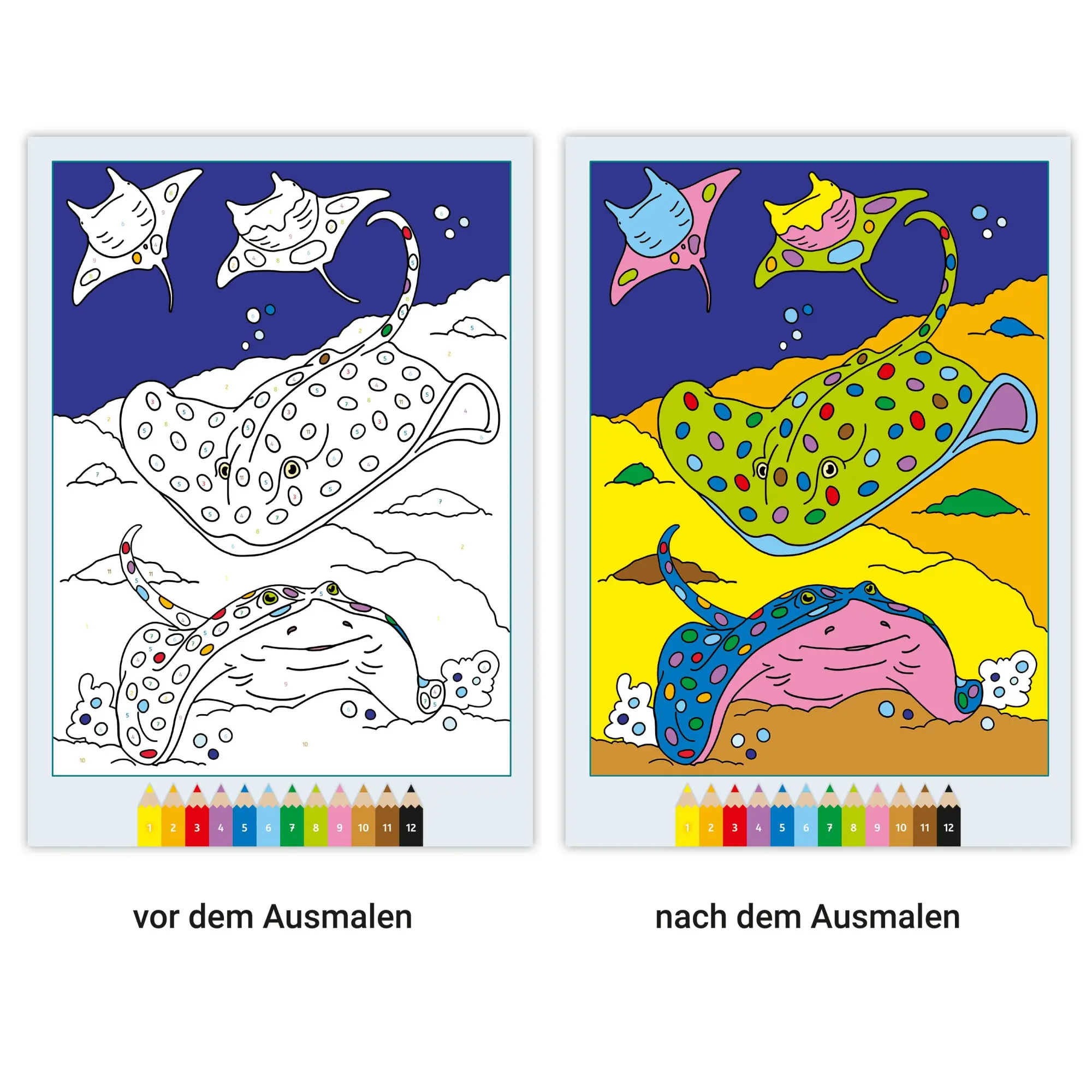 Bild: 9783473488629 | CreArt Malen nach Zahlen ab 7: Im Meer | Maja Wagner | Taschenbuch