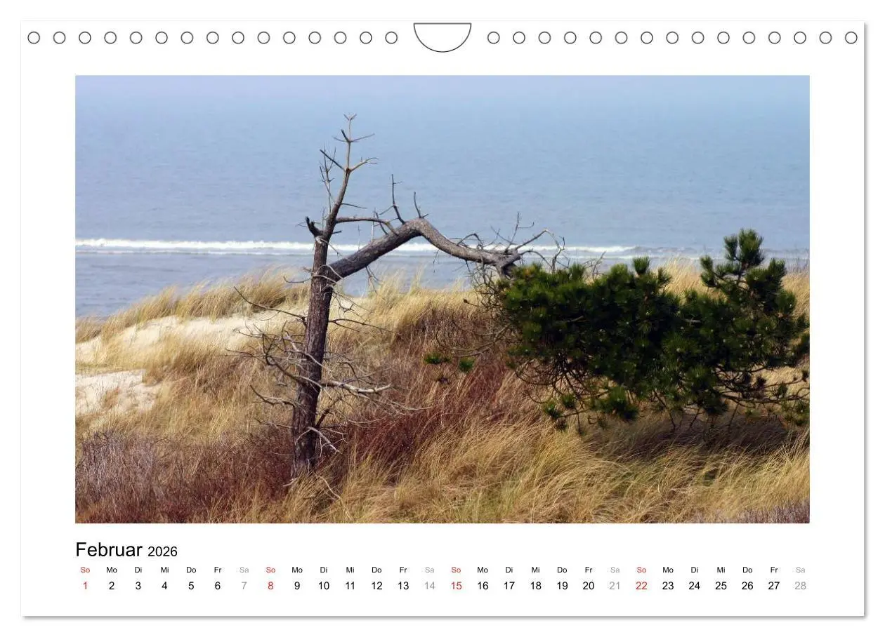 Bild: 9783516048629 | JUIST - Ansichten einer Insel (Wandkalender 2026 DIN A4 quer),...