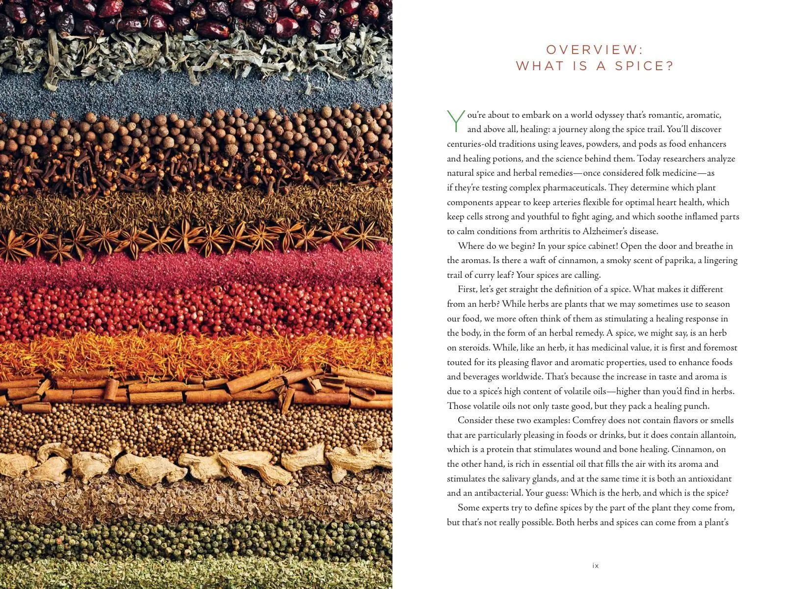 Bild: 9781454938729 | Healing Spices Handbook | Barbara Brownell Grogan | Taschenbuch | 2020