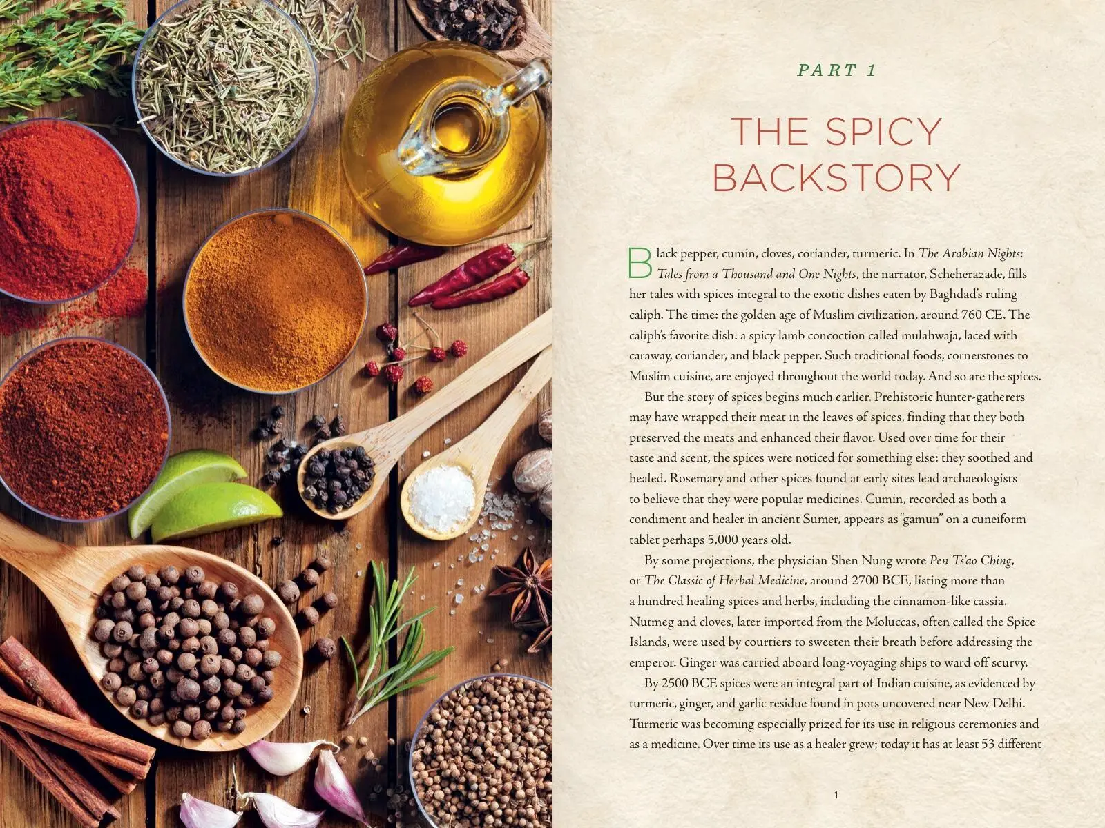 Bild: 9781454938729 | Healing Spices Handbook | Barbara Brownell Grogan | Taschenbuch | 2020