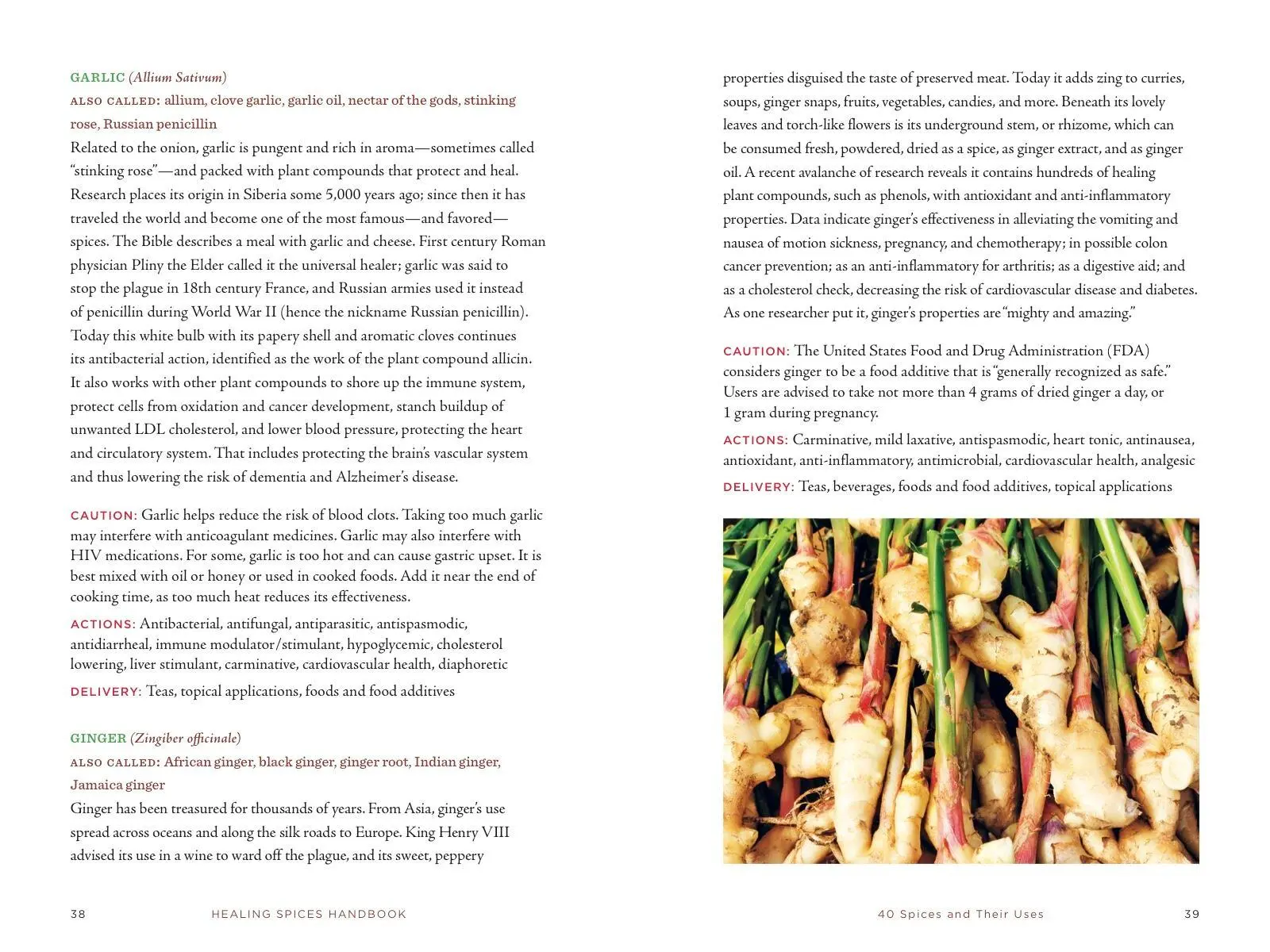 Bild: 9781454938729 | Healing Spices Handbook | Barbara Brownell Grogan | Taschenbuch | 2020