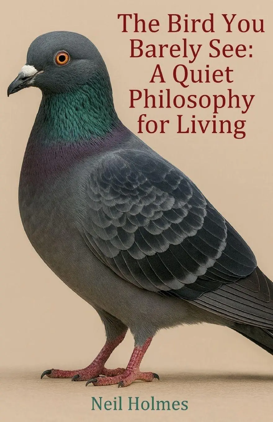 Cover: 9781918038729 | The Bird You Barely See | A Quiet Philosophy for Living | Neil Holmes
