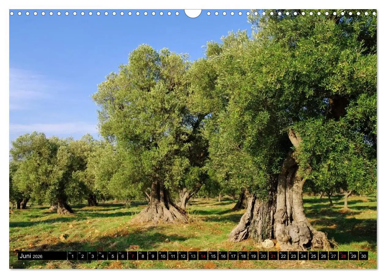Bild: 9783516108729 | Apulien (Wandkalender 2026 DIN A3 quer), CALVENDO Monatskalender