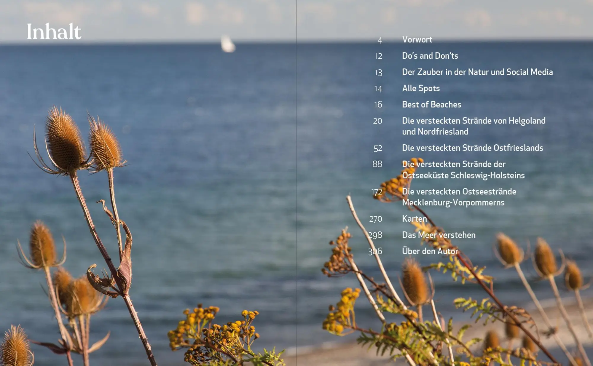 Bild: 9783942048729 | Hidden Beaches Deutschland | Björn Nehrhoff von Holderberg | Buch