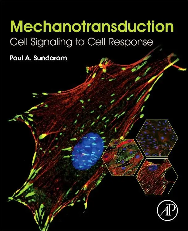 Cover: 9780128178829 | Mechanotransduction | Cell Signaling to Cell Response | Sundaram