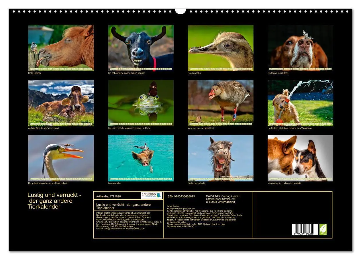 Bild: 9783435468829 | Lustig und verrückt - der ganz andere Tierkalender (Wandkalender...