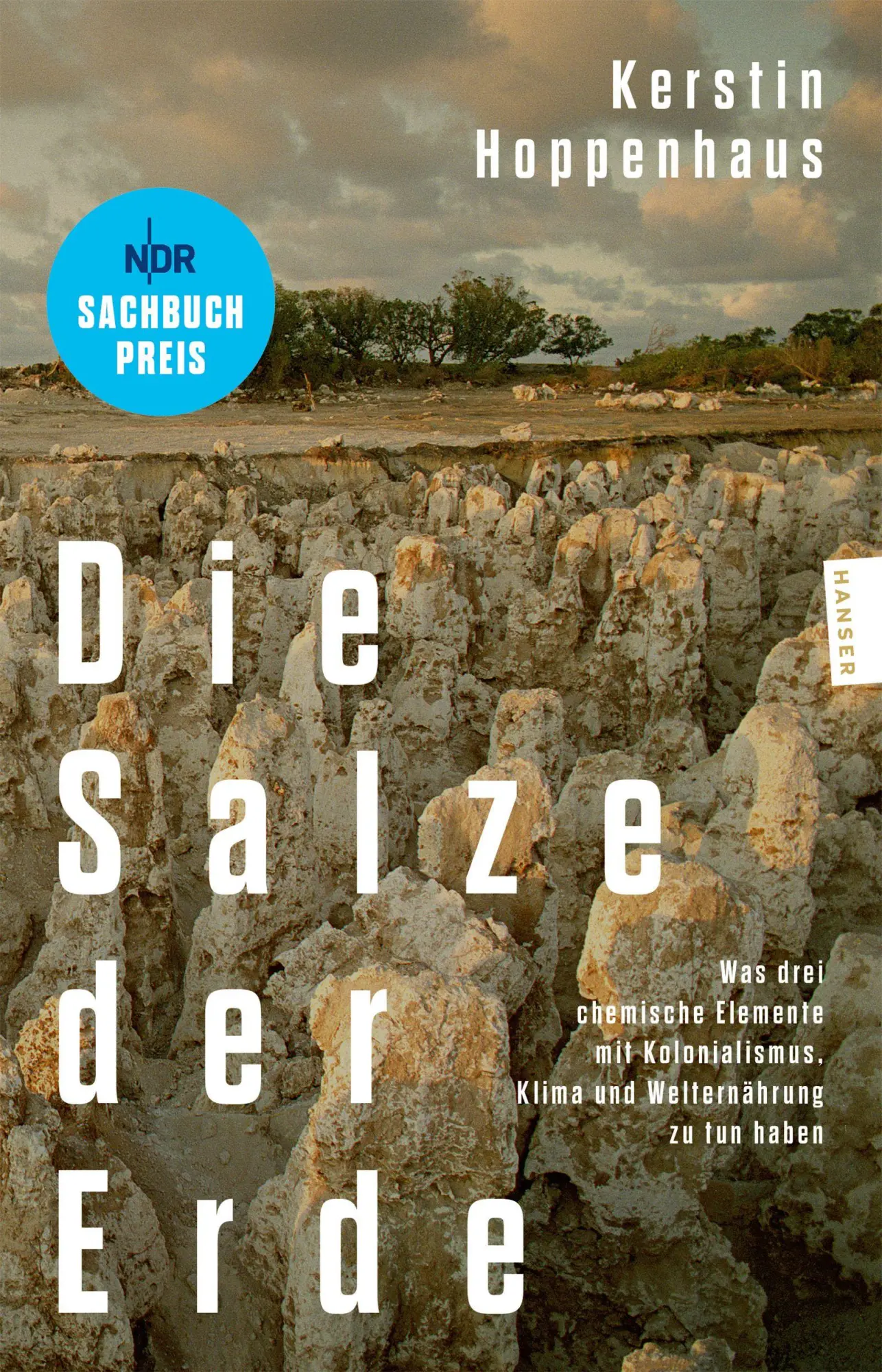 Cover: 9783446288829 | Die Salze der Erde | Kerstin Hoppenhaus | Taschenbuch | 336 S. | 2026