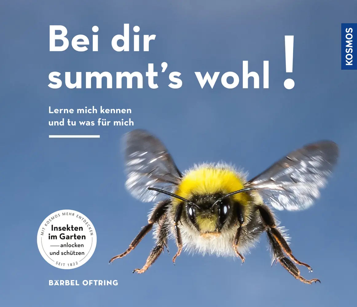 Cover: 9783440168929 | Bei Dir summt's wohl! | Bärbel Oftring | Taschenbuch | Klappenbroschur