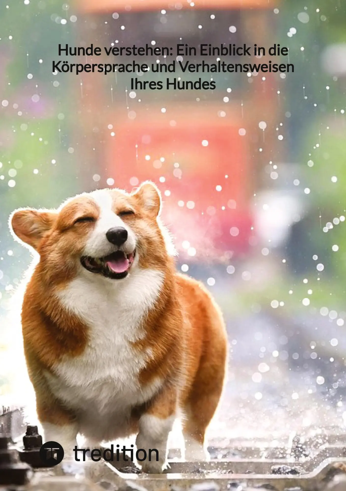 Cover: 9783347859029 | Hunde verstehen: Ein Einblick in die Körpersprache und...