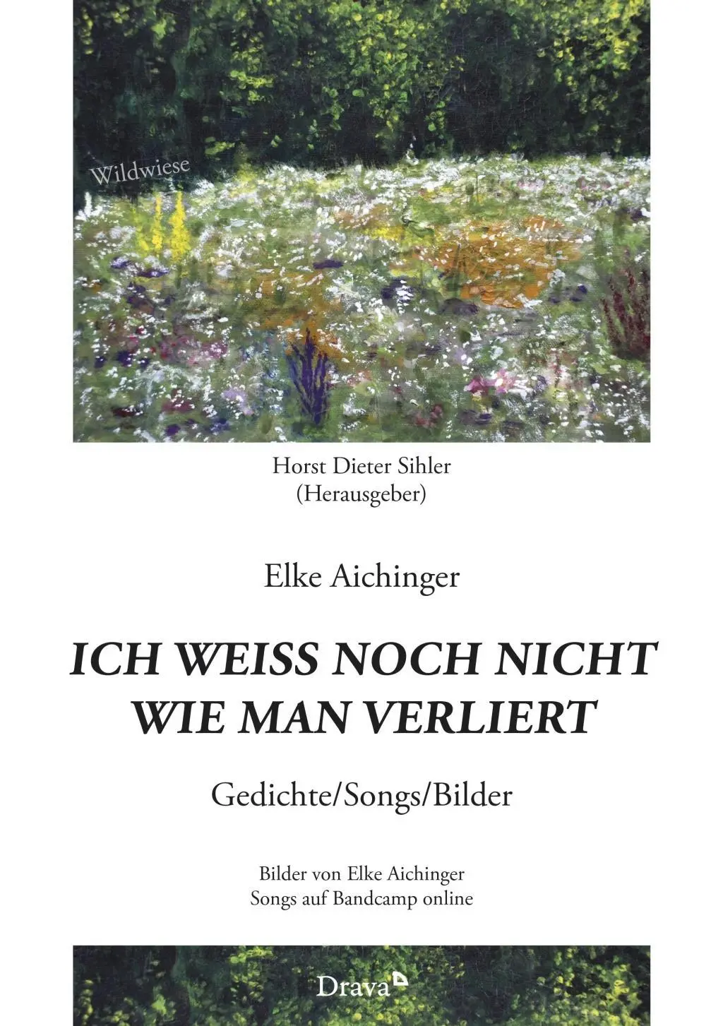Cover: 9783854359029 | Ich weiß noch nicht wie man verliert | Gedichte / Songs / Bilder