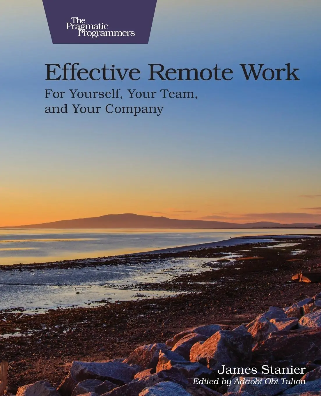 Cover: 9781680509229 | Effective Remote Work | For Yourself, Your Team, and Your Spany | Buch
