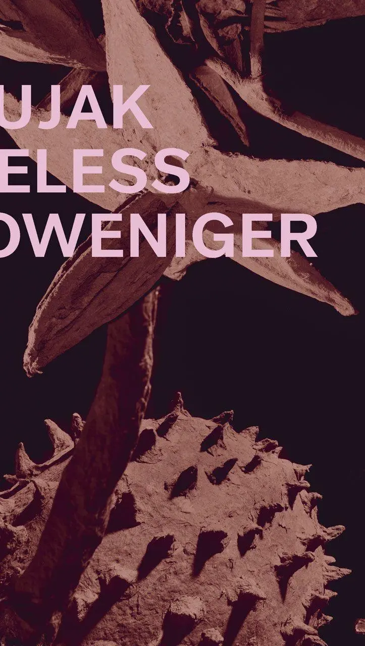 Cover: 9783735609229 | Ines Doujak | Nichtsdestoweniger Nevertheless | Ines Doujak | Buch