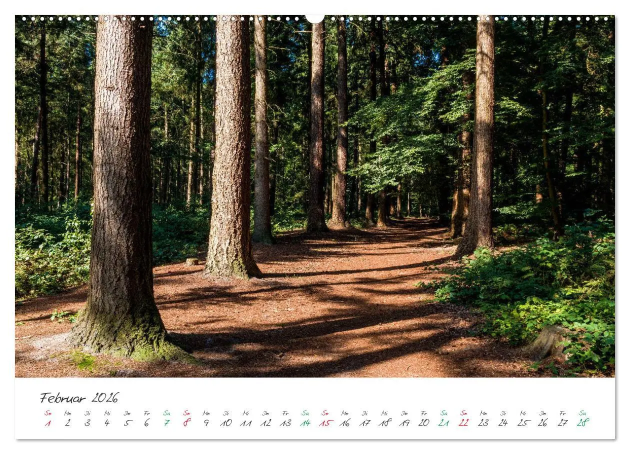 Bild: 9783457889329 | Delmenhorst Spätsommerbilder (Wandkalender 2026 DIN A2 quer),...