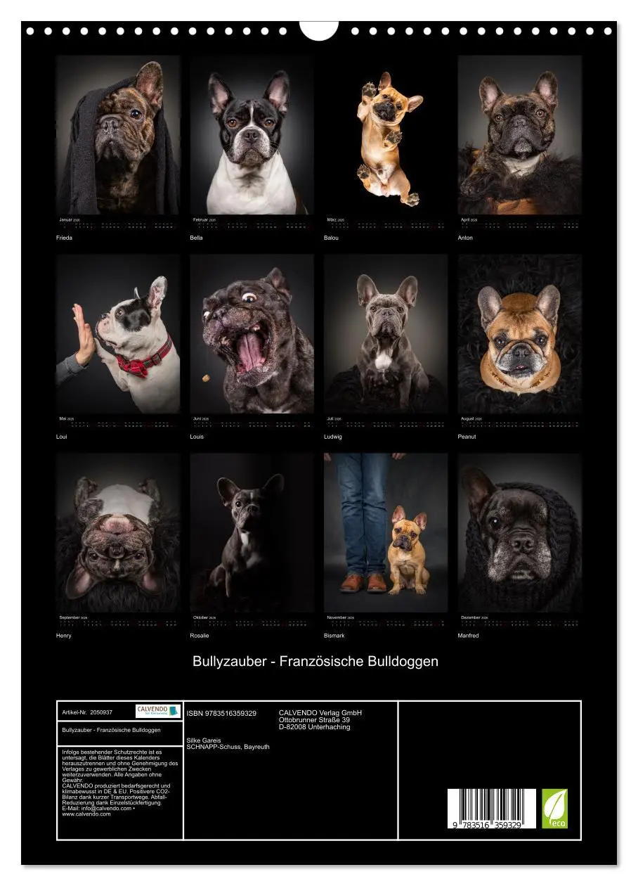 Bild: 9783516359329 | Bullyzauber - Französische Bulldoggen (Wandkalender 2026 DIN A3...