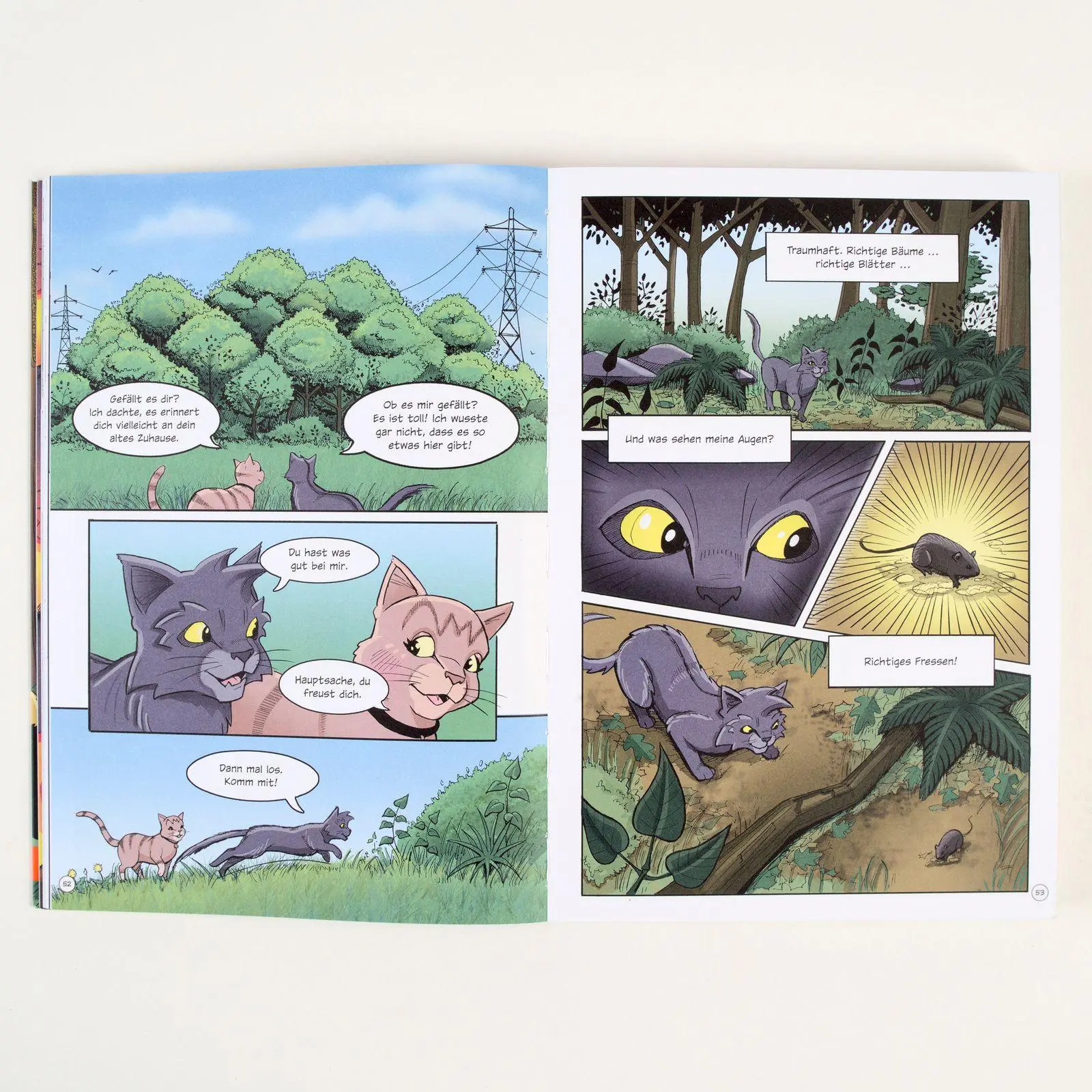 Bild: 9783407759429 | Warrior Cats - Graustreifs Weg zurück | Erin Hunter (u. a.) | Buch