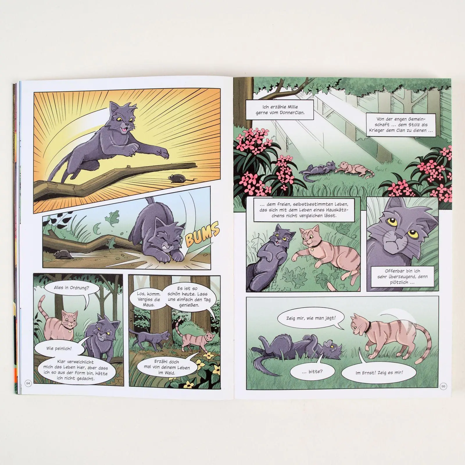 Bild: 9783407759429 | Warrior Cats - Graustreifs Weg zurück | Erin Hunter (u. a.) | Buch