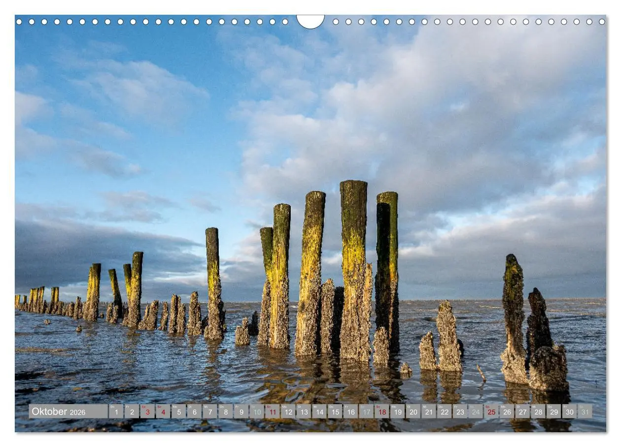 Bild: 9783457639429 | In Nordfriesland zuhause (Wandkalender 2026 DIN A3 quer), CALVENDO...