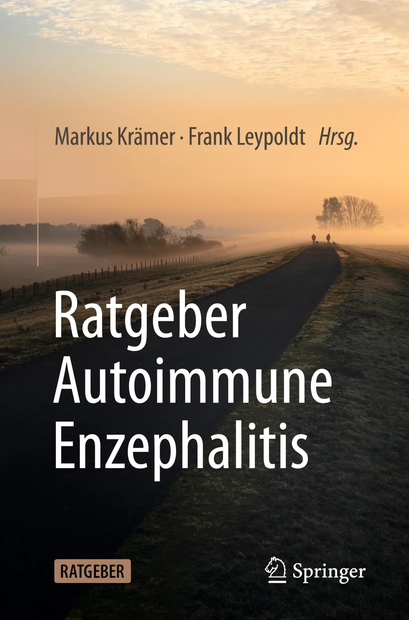 Cover: 9783662709429 | Ratgeber Autoimmune Enzephalitis | Markus Krämer (u. a.) | Taschenbuch