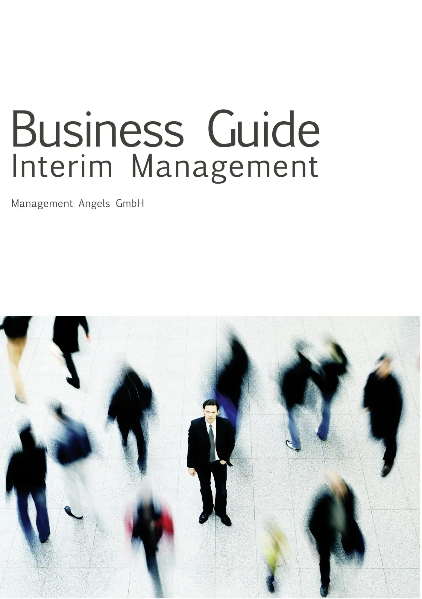 Cover: 9783980119429 | Business Guide Interim Management | Erdwig Holste | Taschenbuch | 2009