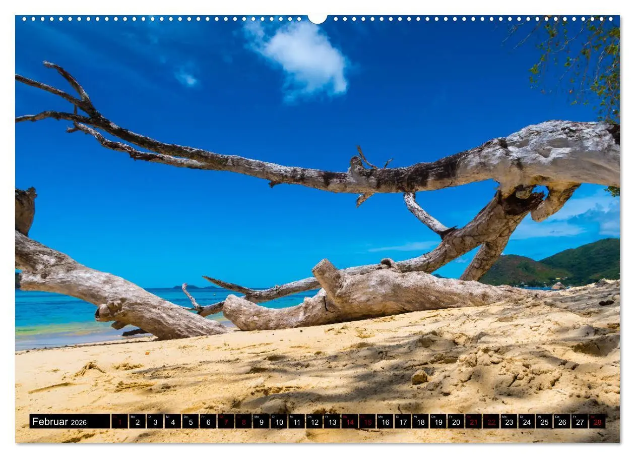 Bild: 9783457859629 | Trauminseln Seychellen (Wandkalender 2026 DIN A2 quer), CALVENDO...