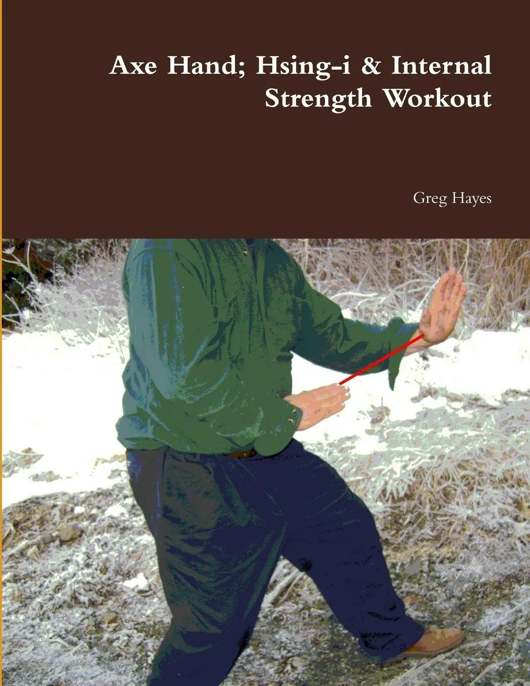 Cover: 9780578099729 | Axe Hand; Hsing-i &amp; Internal Strength Workout | Greg Hayes | Buch