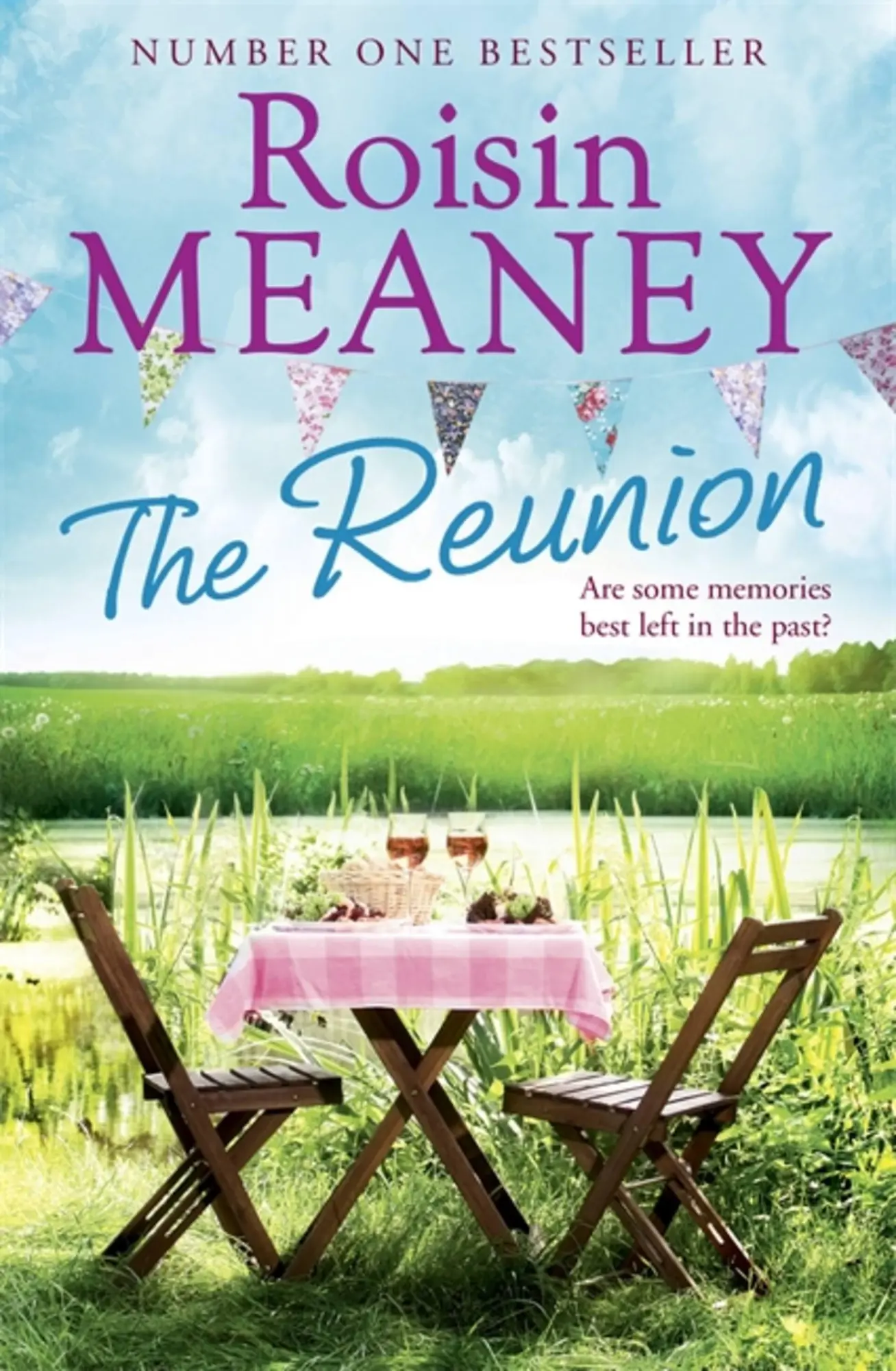 Cover: 9781444799729 | The Reunion | Roisin Meaney | Taschenbuch | Kartoniert / Broschiert
