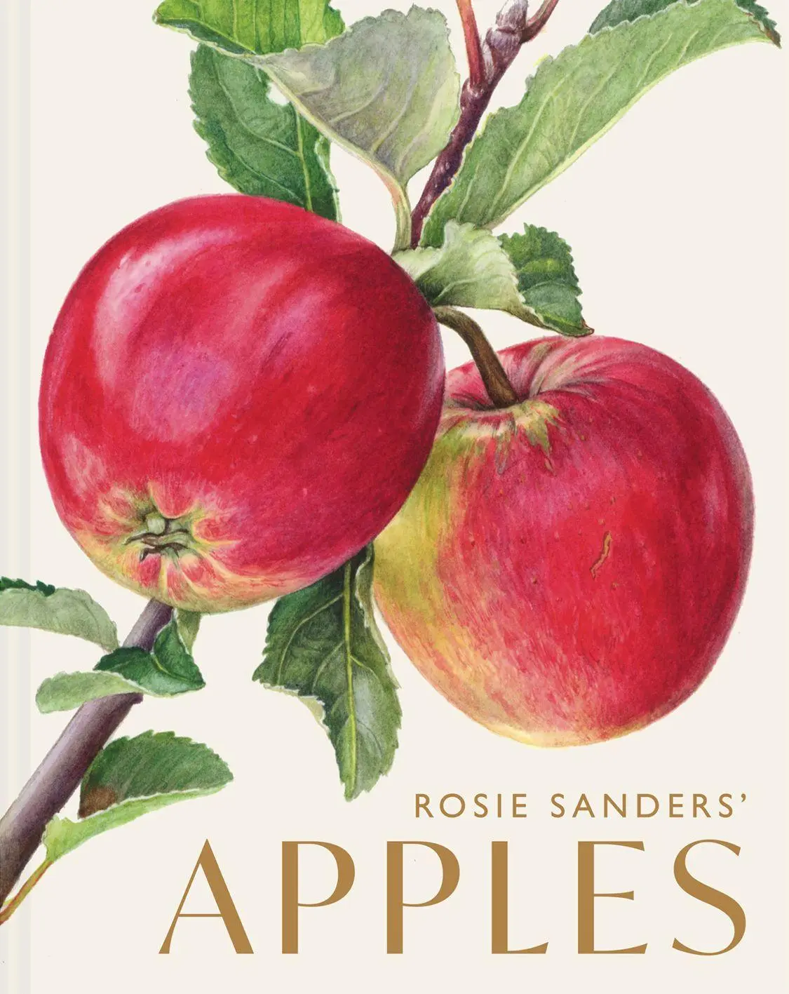 Cover: 9781849949729 | Rosie Sanders' Apples | Rosie Sanders | Buch | Englisch | 2026