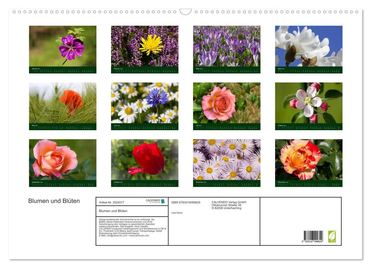 Bild: 9783516099829 | Blumen und Blüten (Wandkalender 2026 DIN A2 quer), CALVENDO...