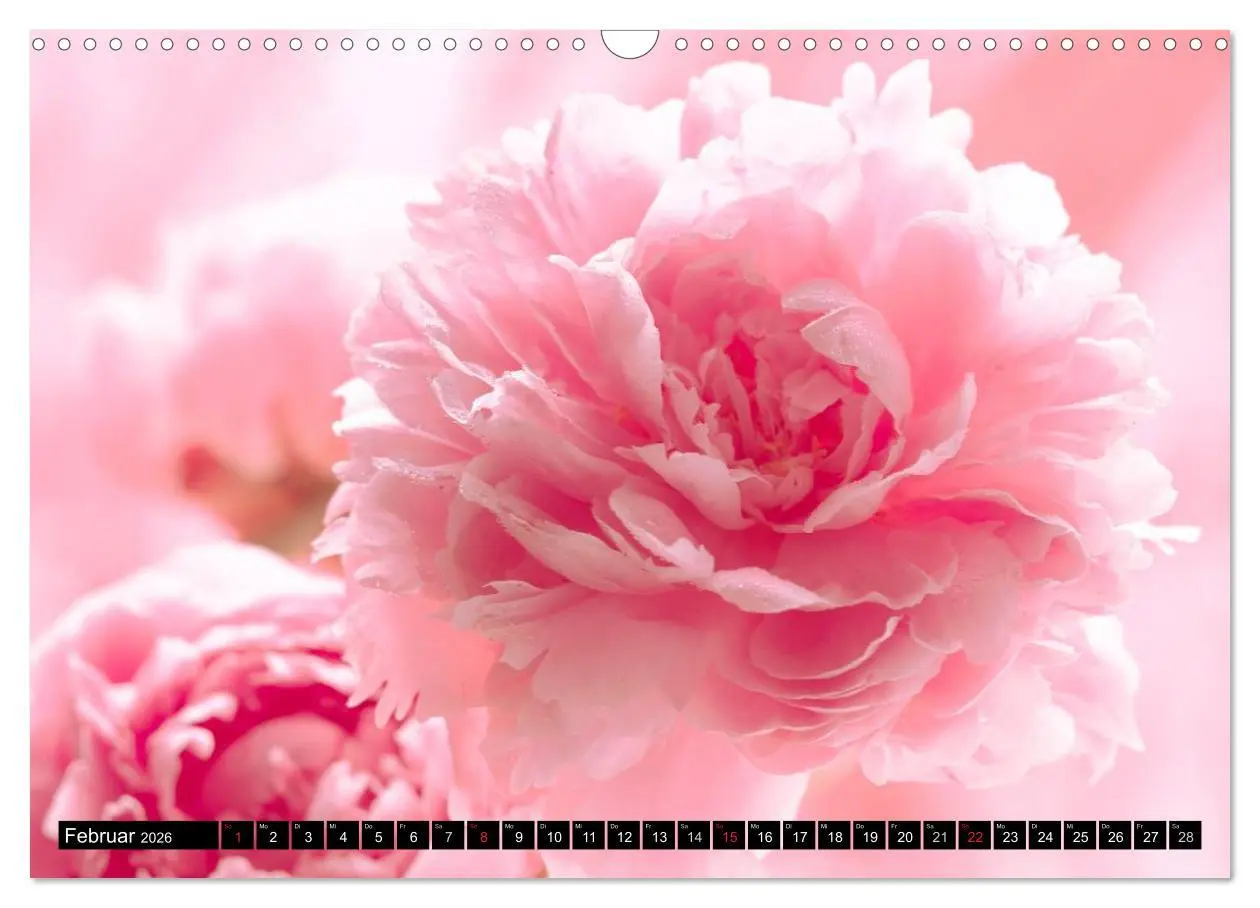 Bild: 9783516169829 | Flowers / 2026 (Wandkalender 2026 DIN A3 quer), CALVENDO...