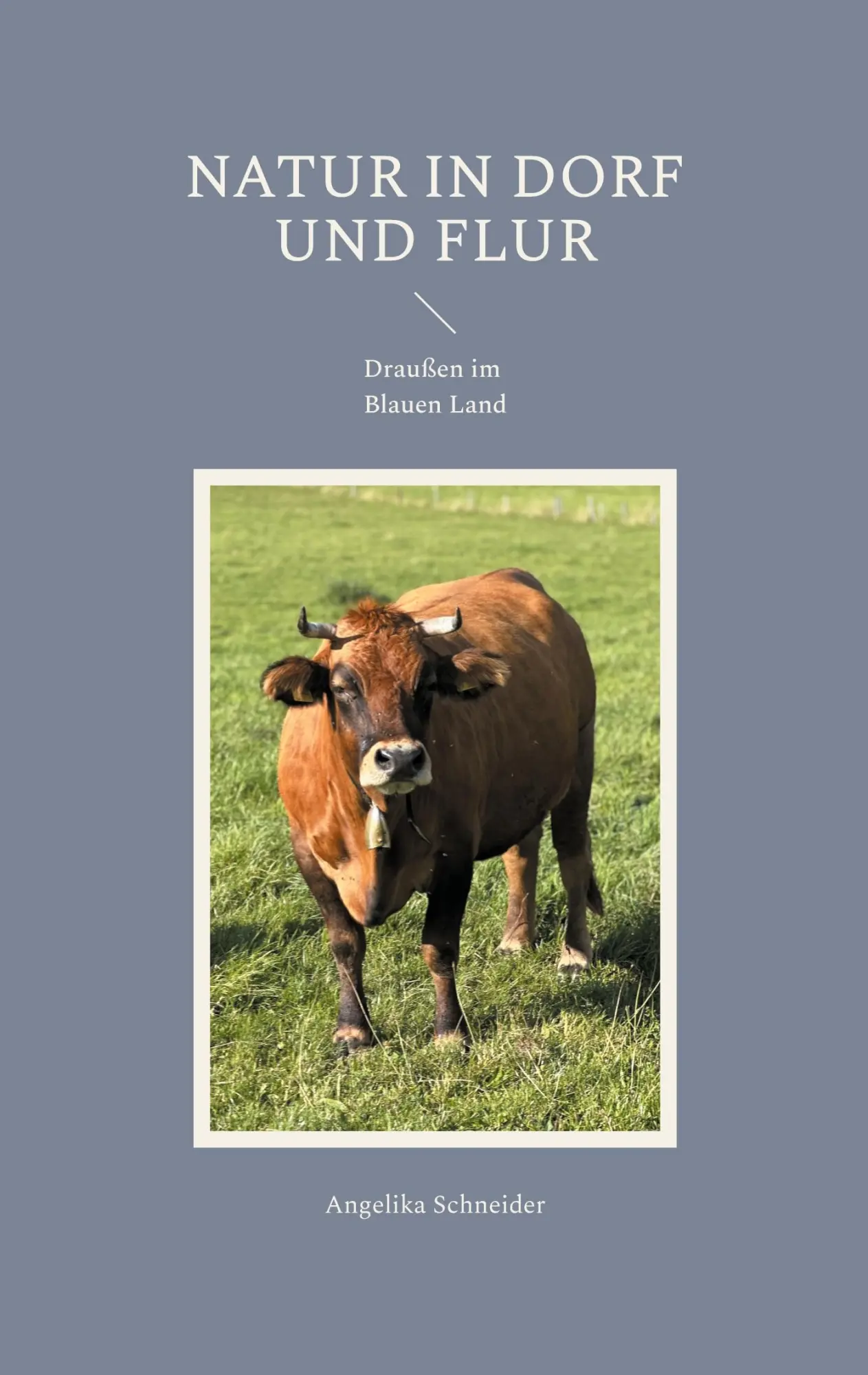 Cover: 9783769309829 | Natur in Dorf und Flur | Draußen im Blauen Land | Angelika Schneider