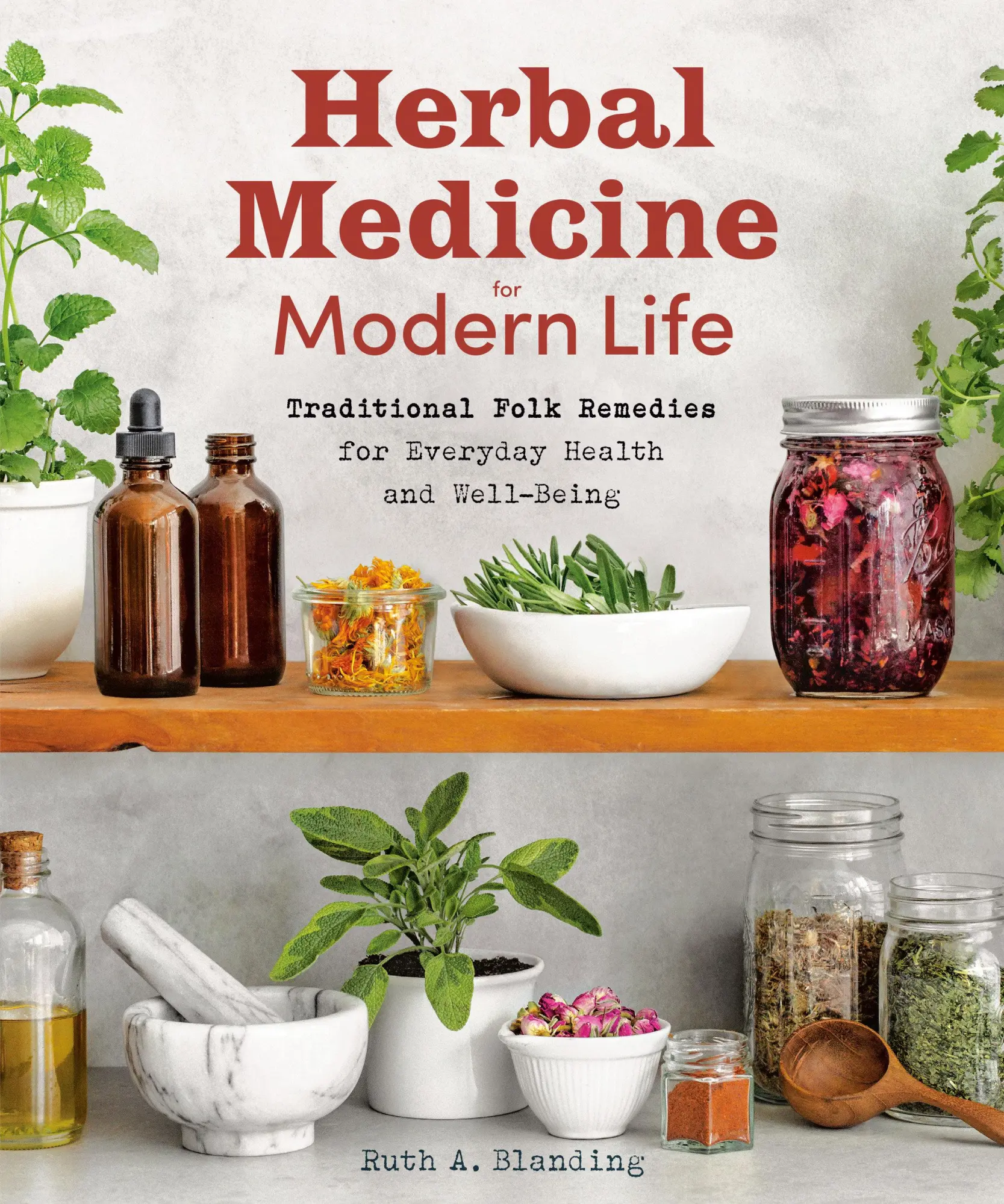 Zeitgeist Herbal Medicine For Modern Life