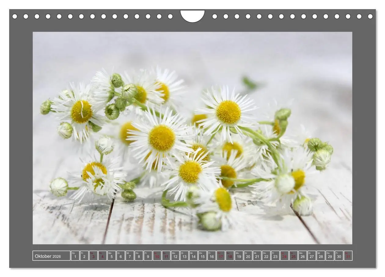 Bild: 9783516229929 | Blumen für dich (Wandkalender 2026 DIN A4 quer), CALVENDO...