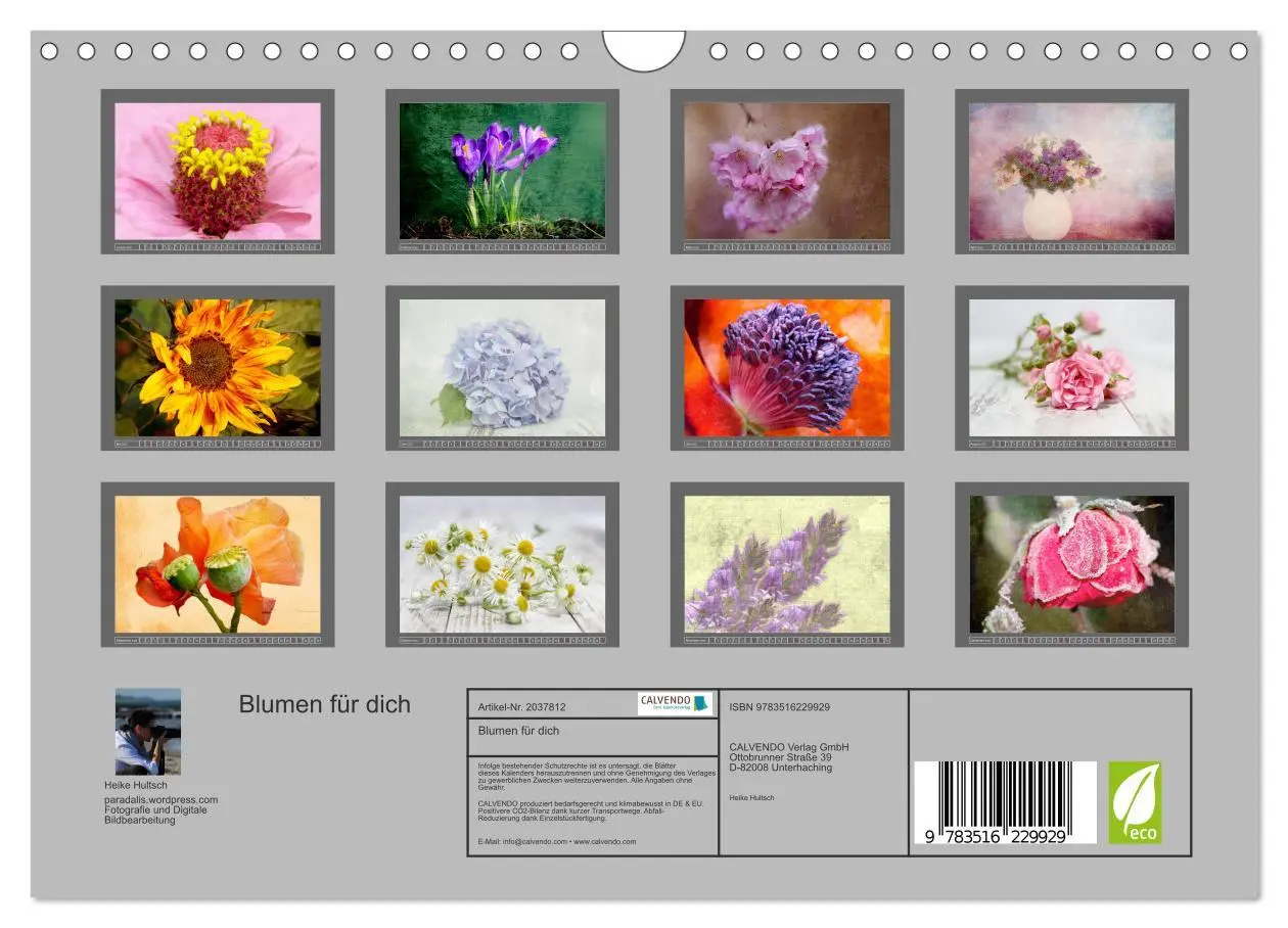 Bild: 9783516229929 | Blumen für dich (Wandkalender 2026 DIN A4 quer), CALVENDO...